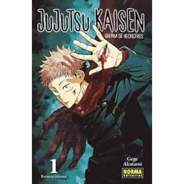 Jujutsu Kaisen 4: Akutami, Gege: 9788467942699: Amazon.com: Books